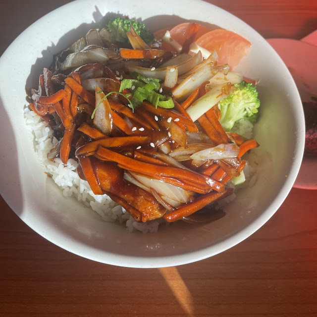 Yakitori Chicken and Rice
