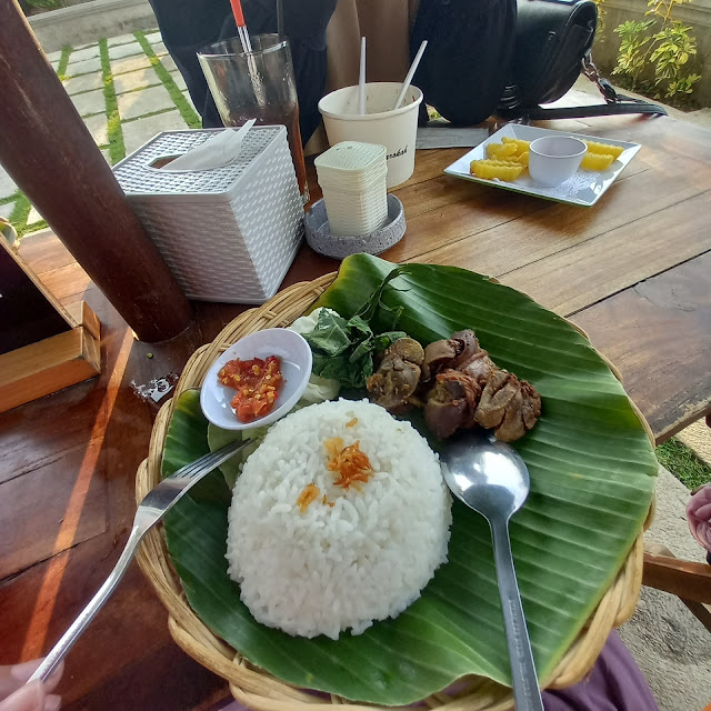 Nasi Ampela Bebek