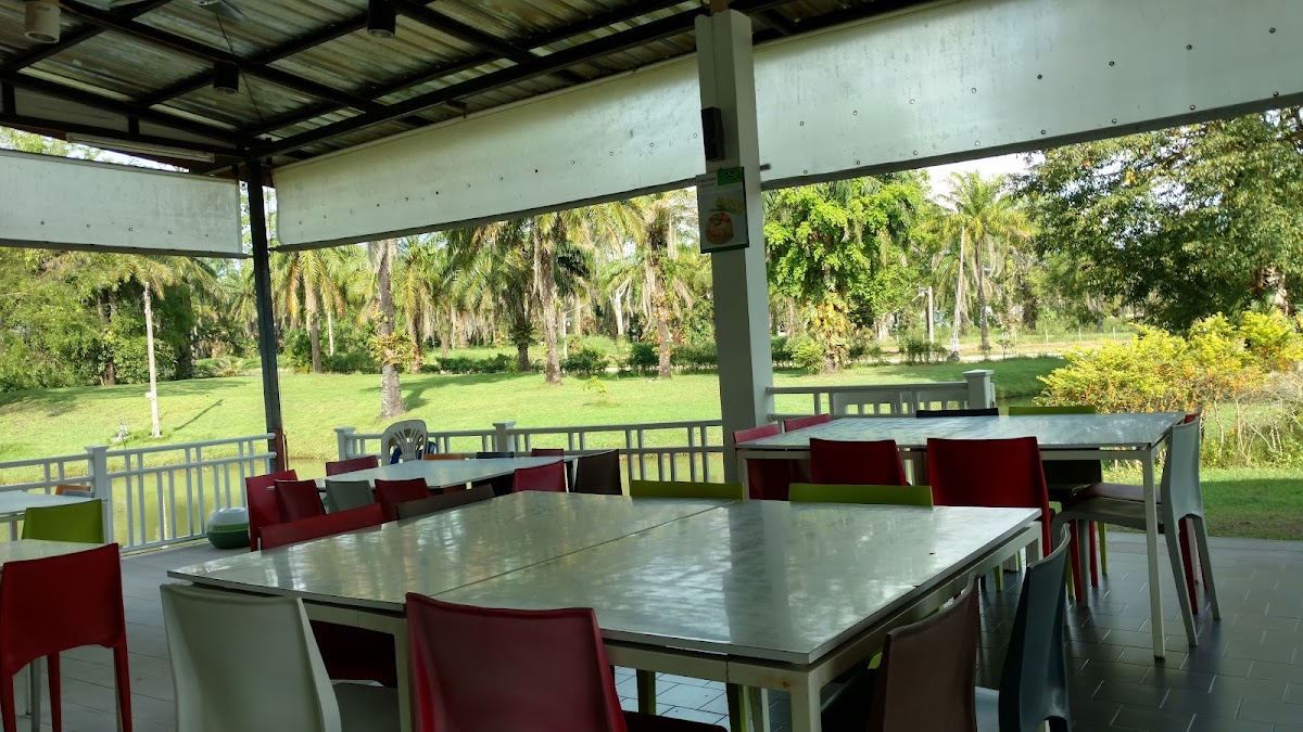 Palm Driving Range & Resort