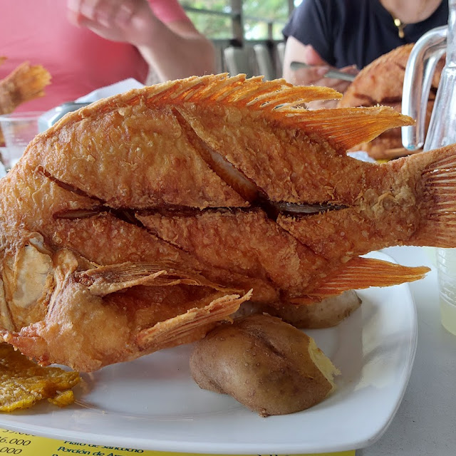 Tilapia Frita
