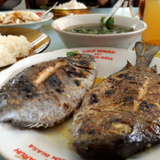 Ikan Baronang & Cumi2