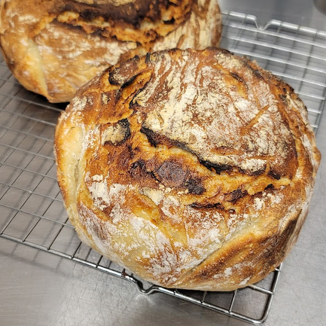Sourdough Bread