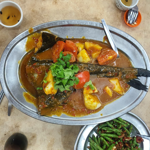 娘惹鲶鱼