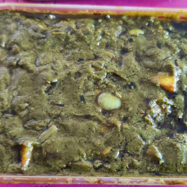 Palak Paneer
