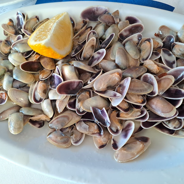 Coquinas