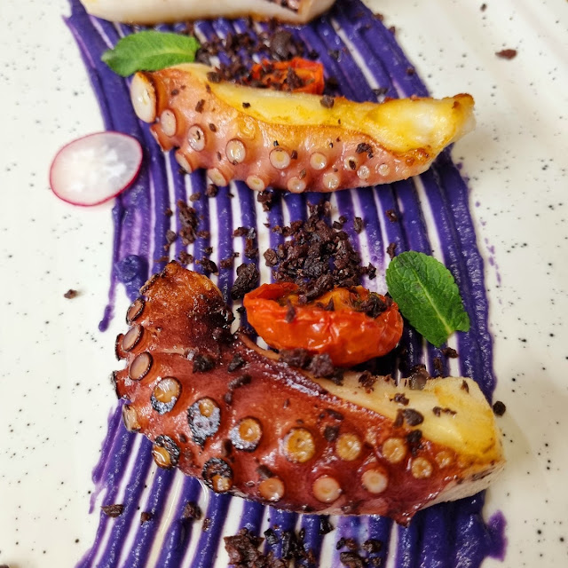 Squid
