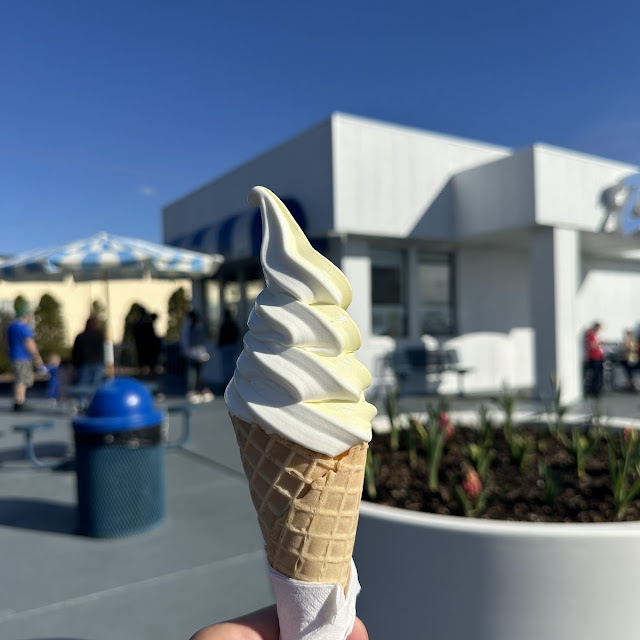 Yogurt Dipped Cones