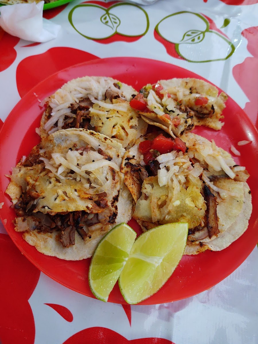 Tacos Cordova