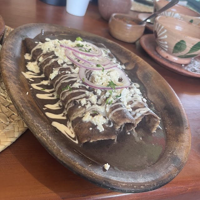 Enfrijoladas de Pollo