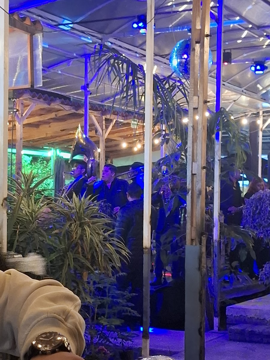 Yamilas Garden