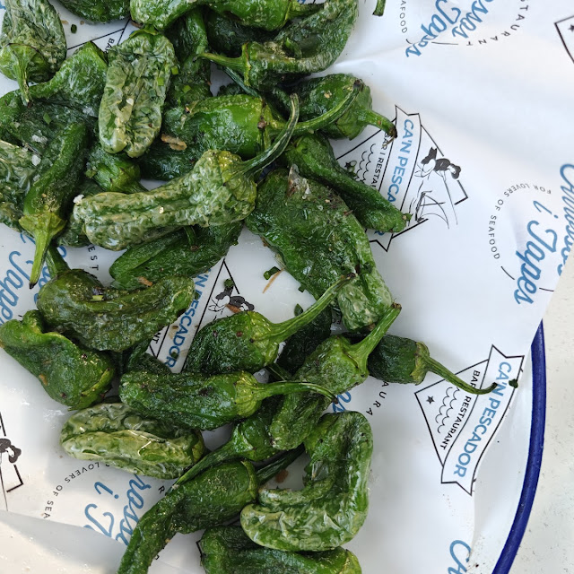 Pimientos de Padrón