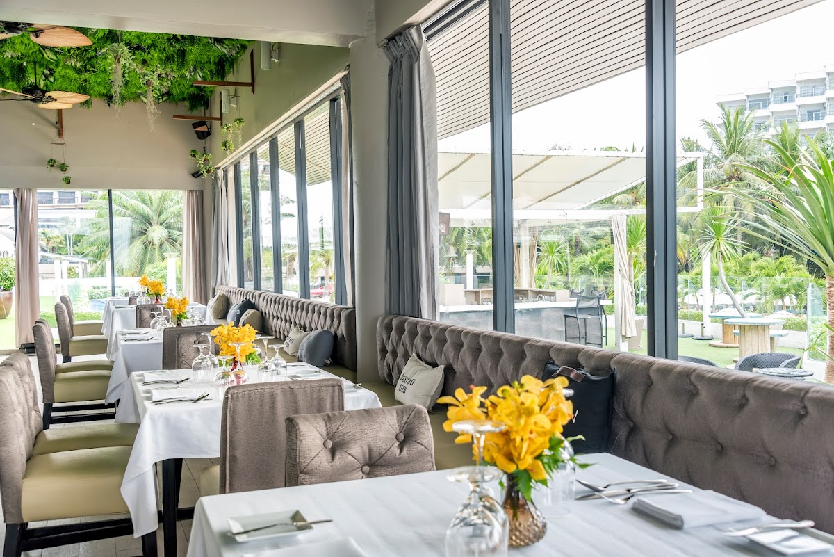 Joe Kool's Terrace