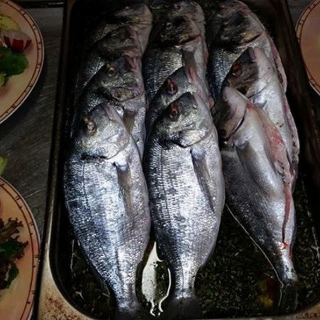 Fish Dorada Mit Summer Gemüse