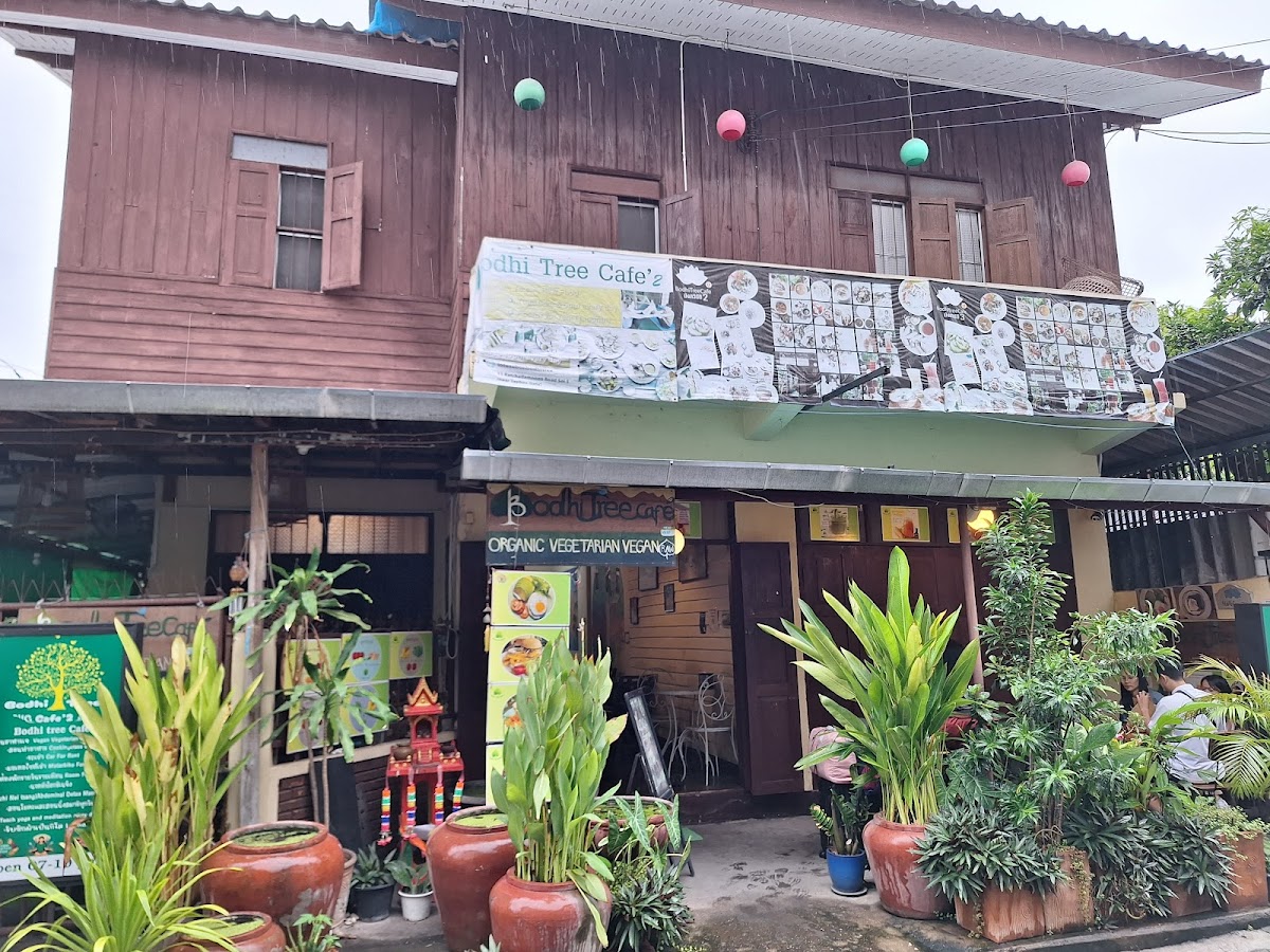 Bodhi Tree Cafe