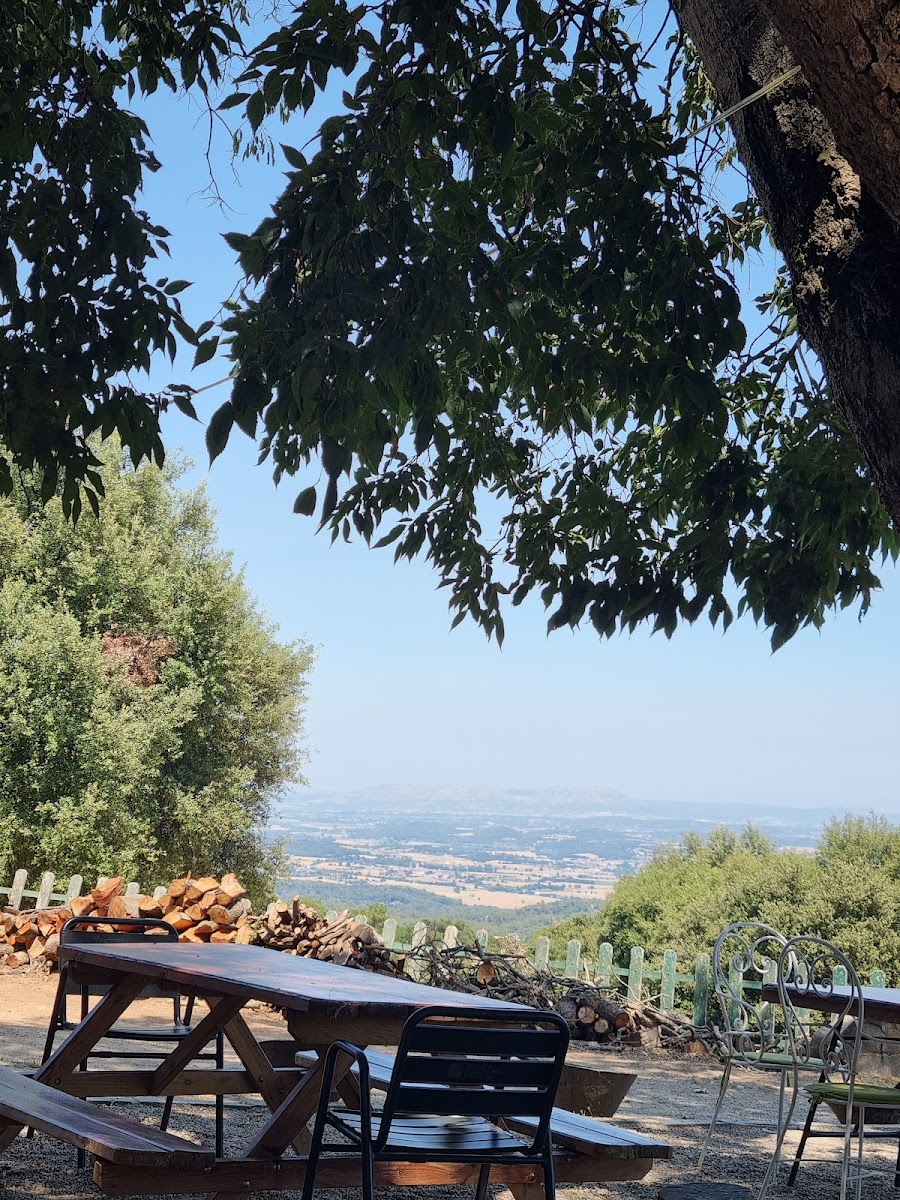 Restaurant Els Metges