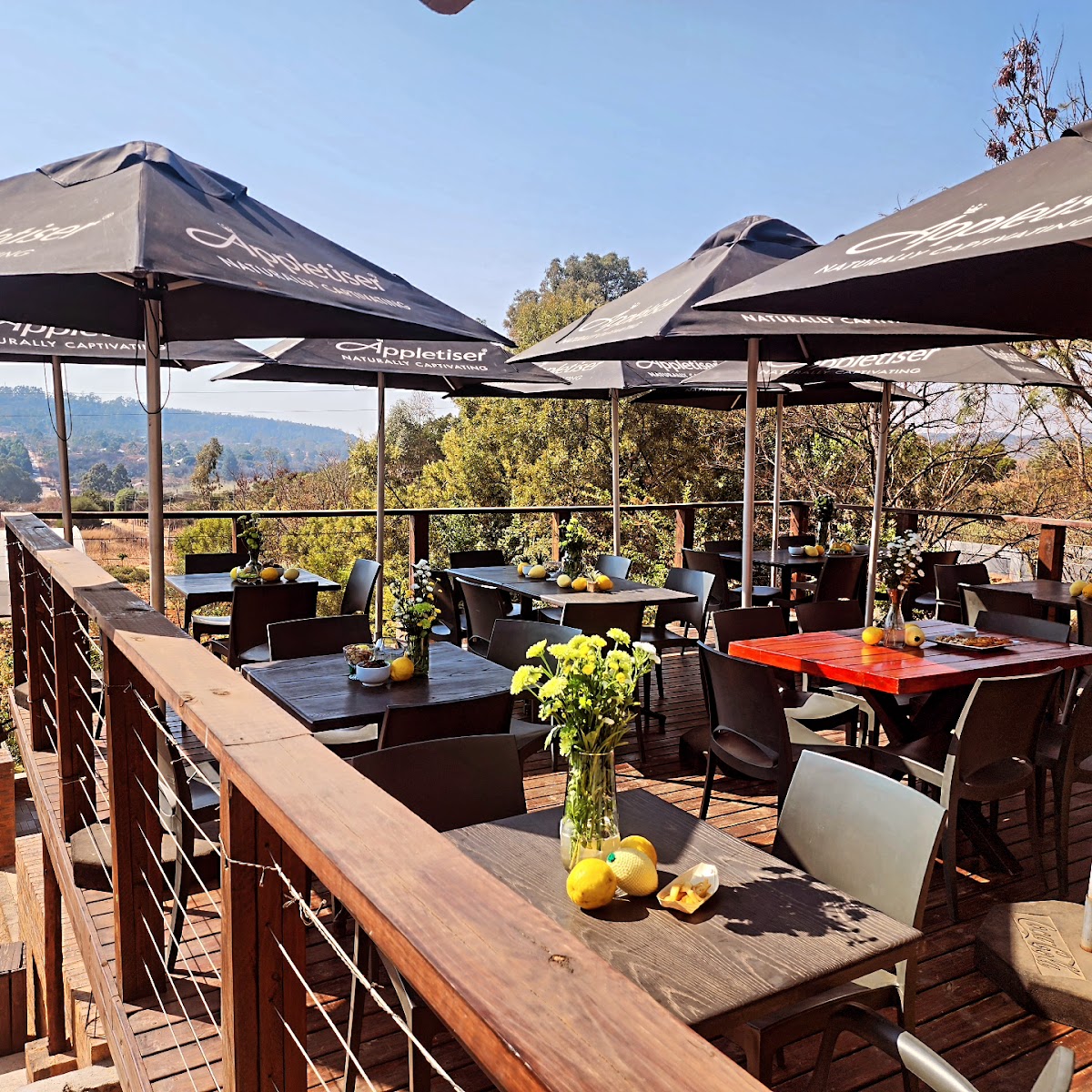 Wild Route Café