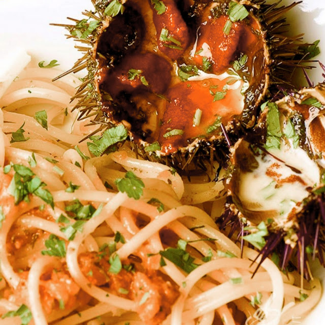 Pasta Ai Ricci