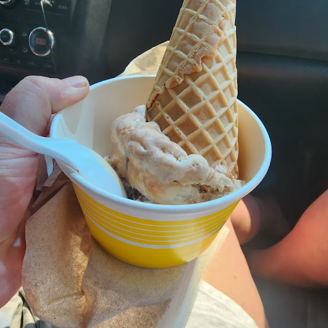 Double Scoop Sea Turtle and Eskimo Kiss in a Waffle Cone