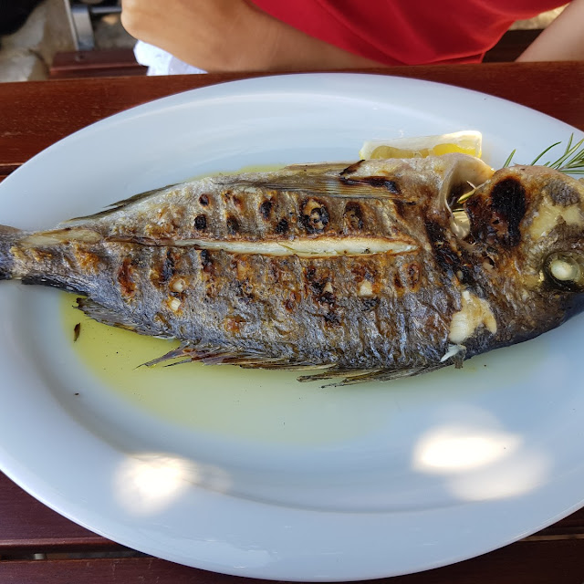 Fish Plate