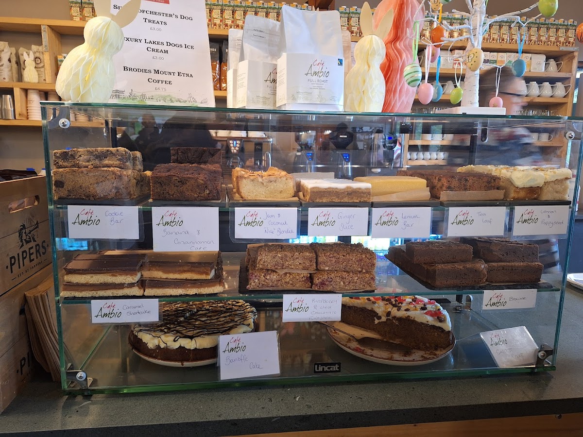 Cafe Ambio Whinlatter Forest