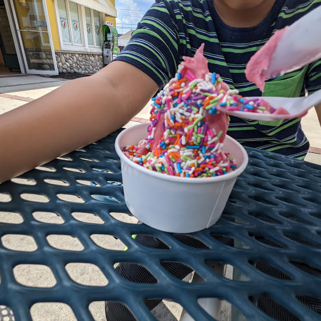 Red Raspberry and Lemon Ice