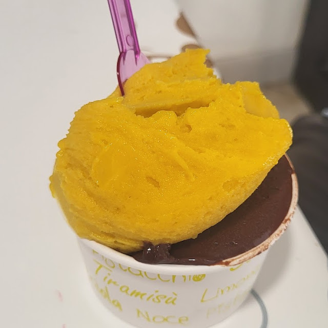 Mango and Dark Chocolate