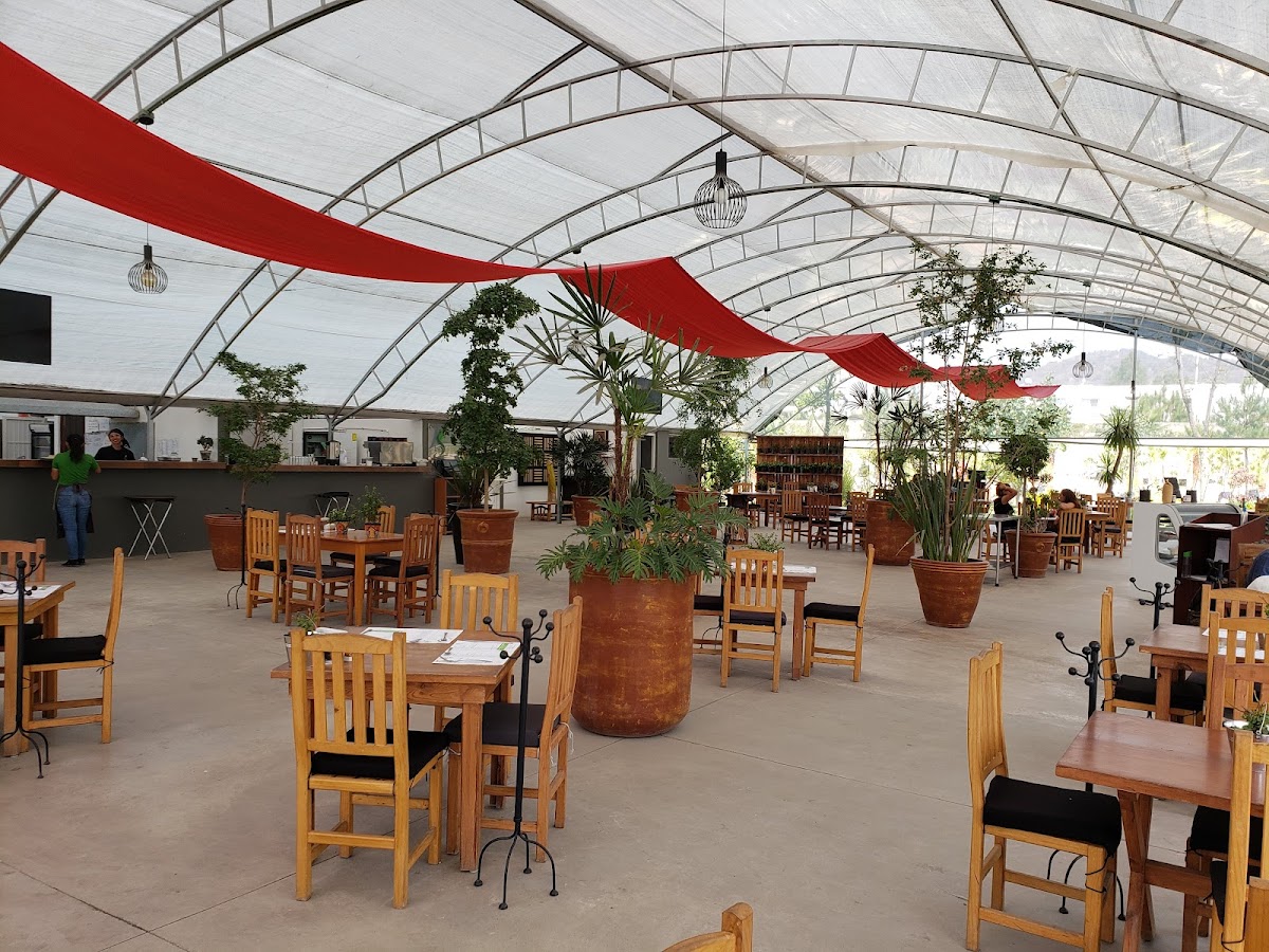 La Planteria Vivero Cafe Bosques