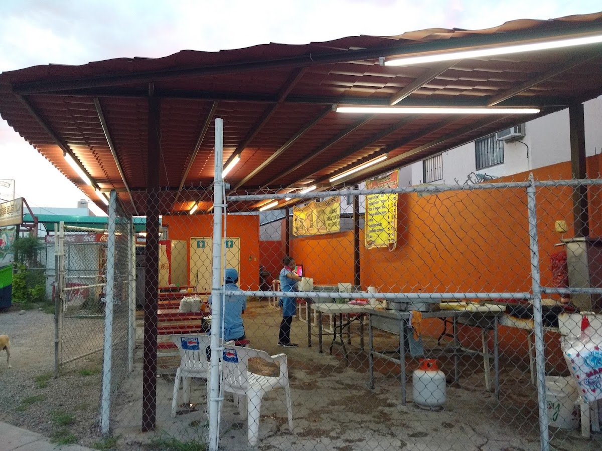 TAQUERIA 'EL PASTORCITO' - Son.