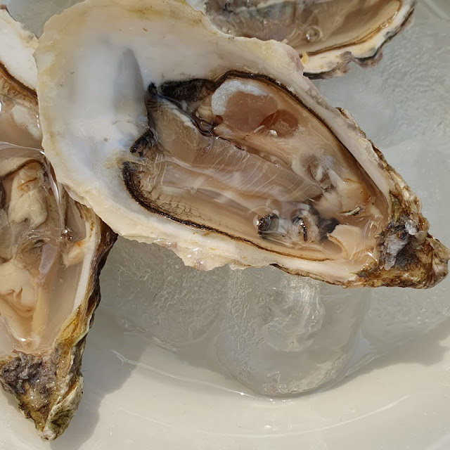 Oyster