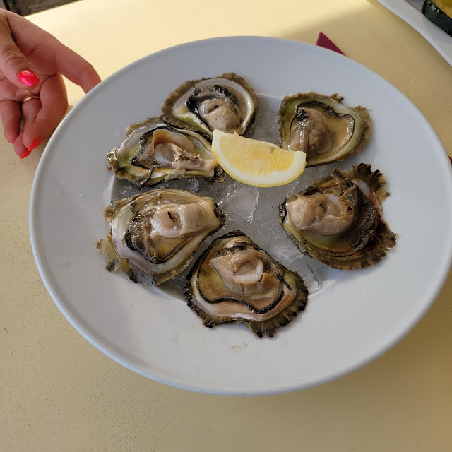 Oysters
