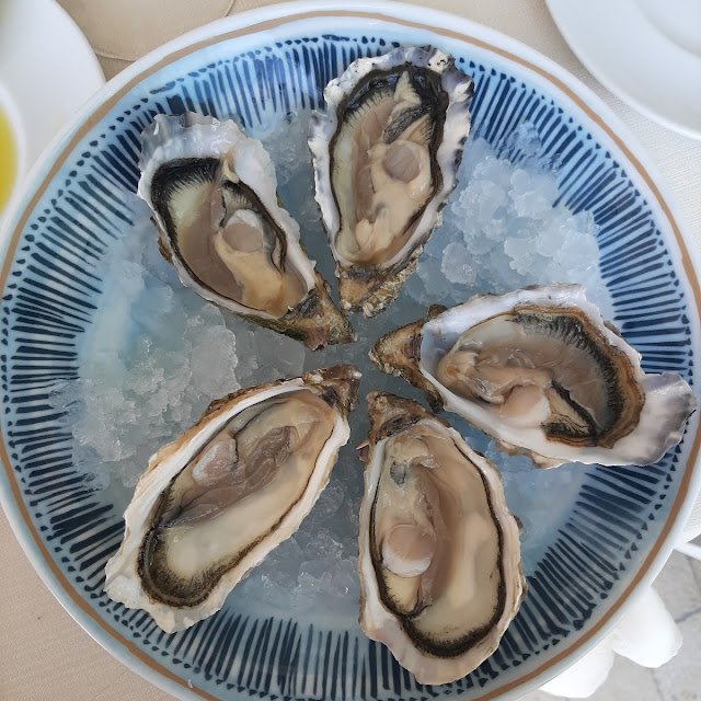 Oysters