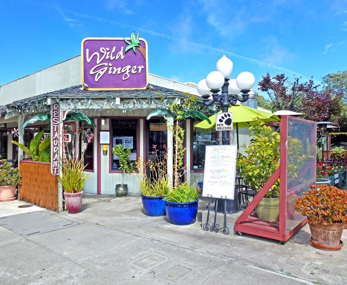 Wild Ginger - Cambria