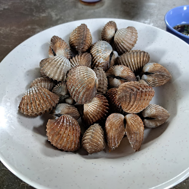 Boiled Cockles