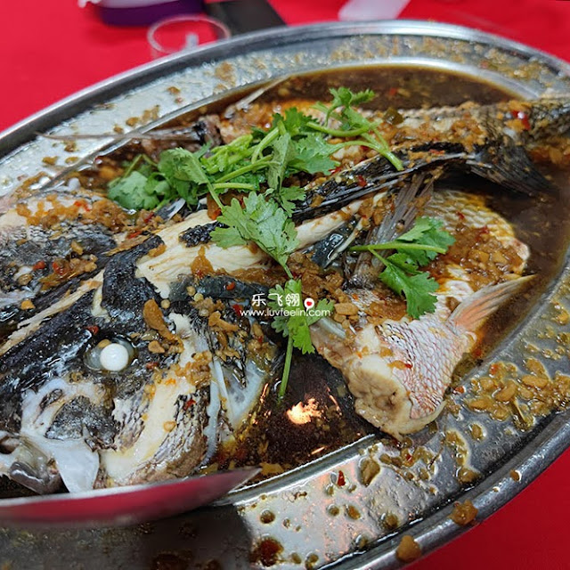 Steam Siakap Fish Hailam Style