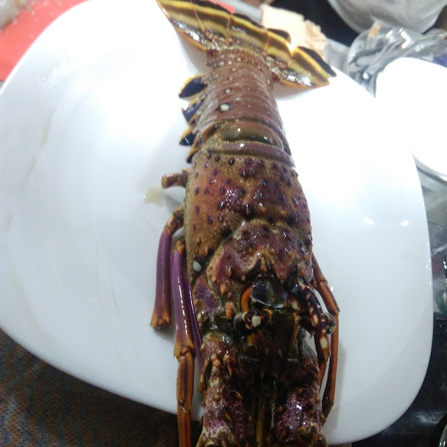 Lobster