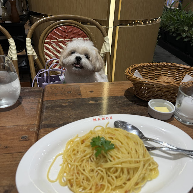 Truffle Pasta