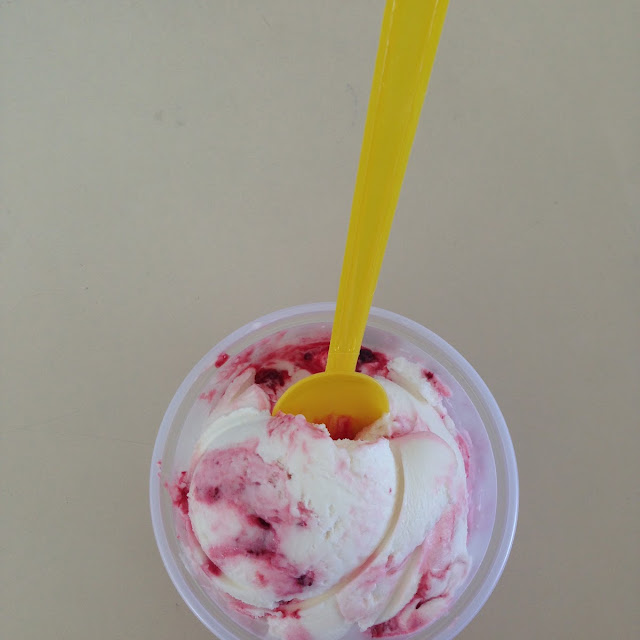 Iogurte Com Frutas Vermelhas