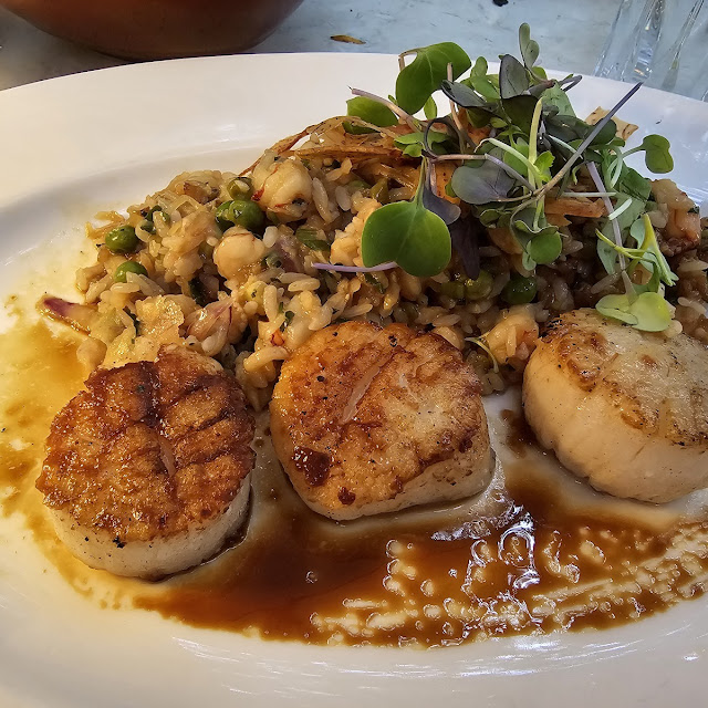 Scallops