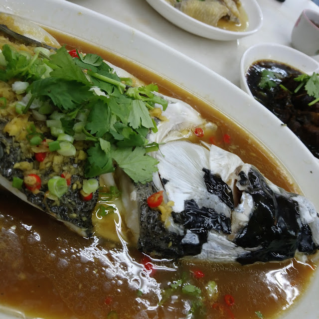 Steam Fish