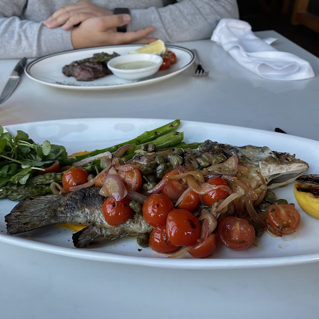 Fish of the Day