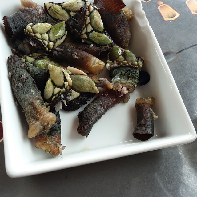 Tapas de Perceves