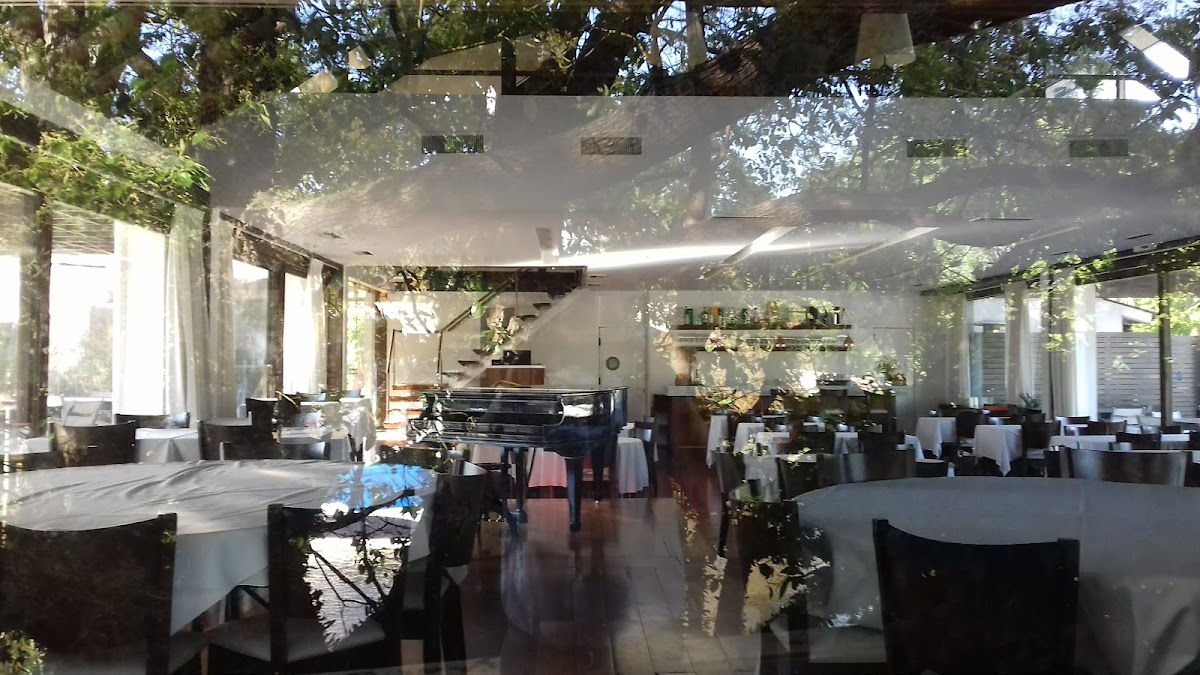 Baluma Restaurante - Exclusivo Socios