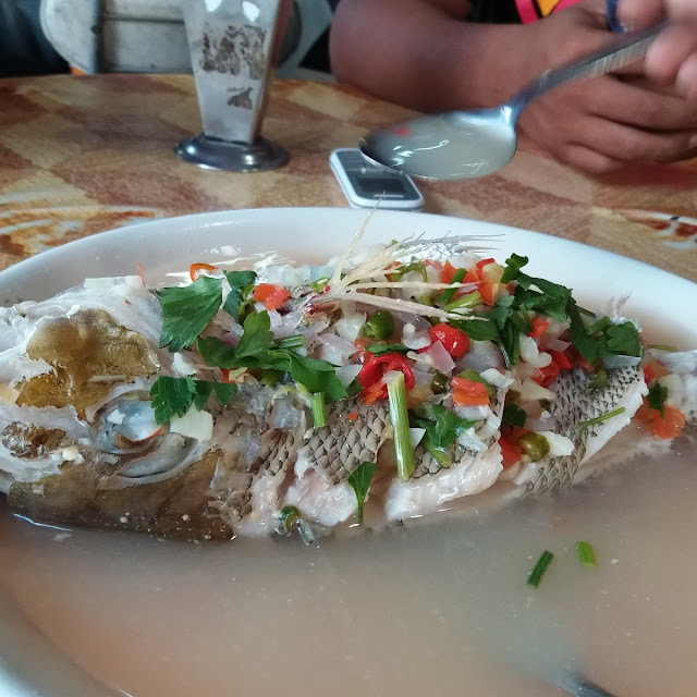 Ikan Siakap