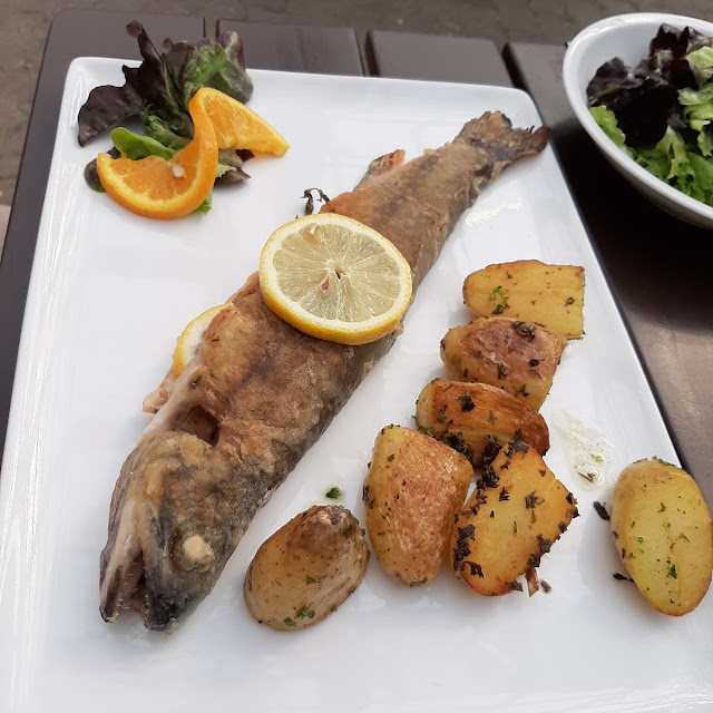Saibling Mit Kartoffeln Und Blattsalat