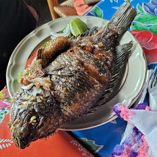 Mojarra Están Sabrosas
