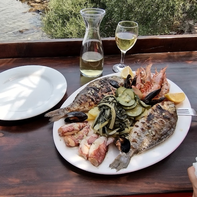 Fish Plate