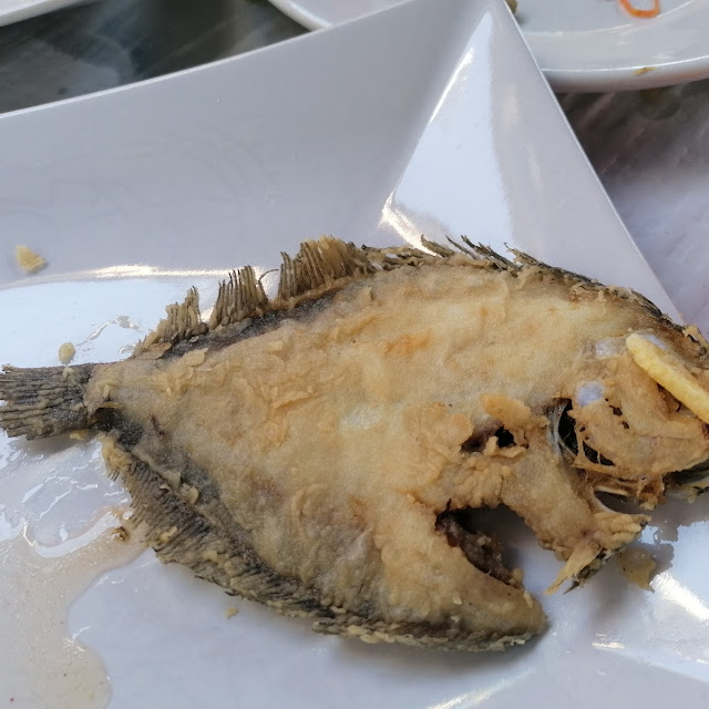 Tapaculos