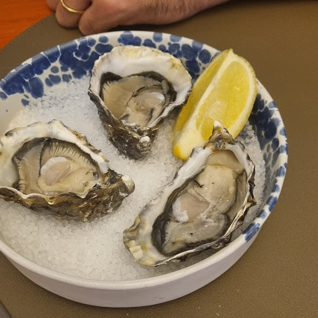 Oysters