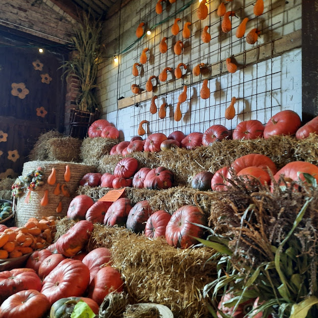 Pumpkin