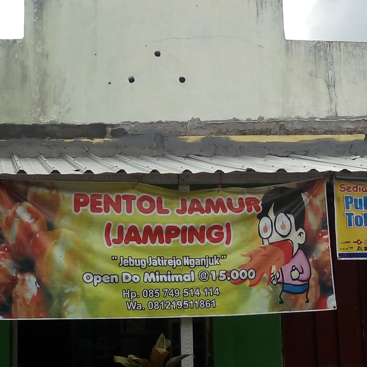 Pentol Jamur Jamping